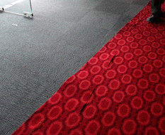 PictuRipped carpet